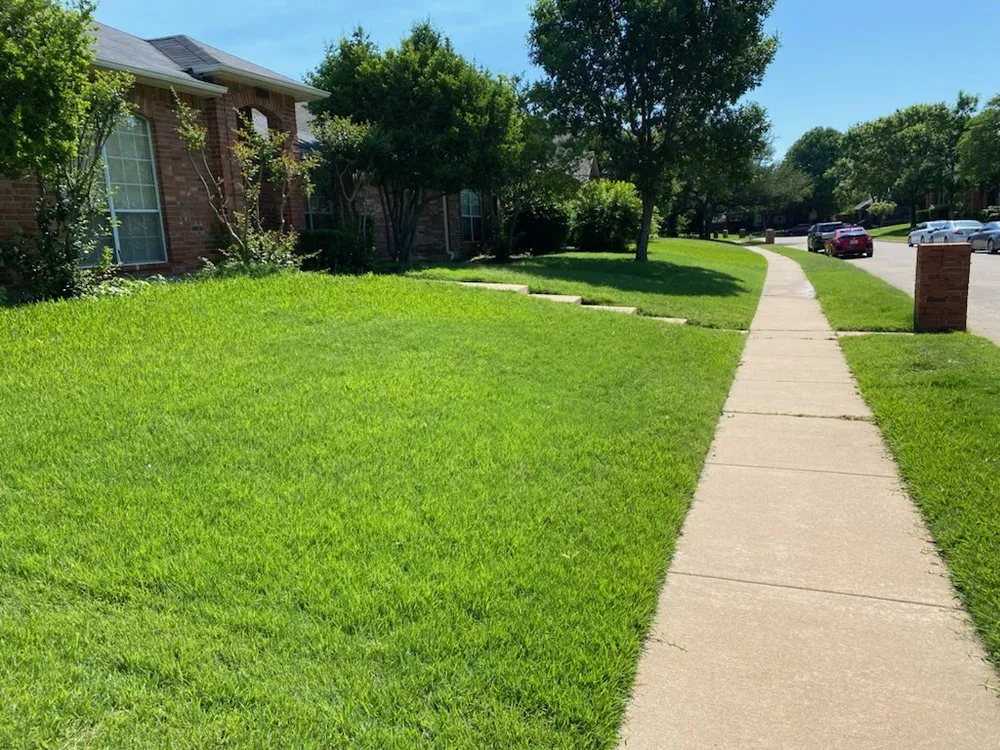 Professional outdoor landscaping experts serving Allen, TX - My Neighbor Services