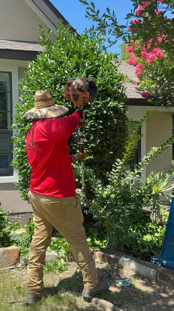 Trusted landscape design in Allen, TX by My Neighbor Services