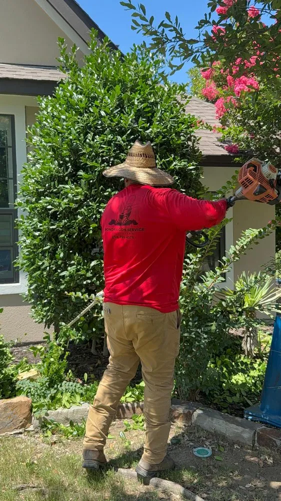 Top-rated lawn care service for homes in Allen, TX by My Neighbor Services