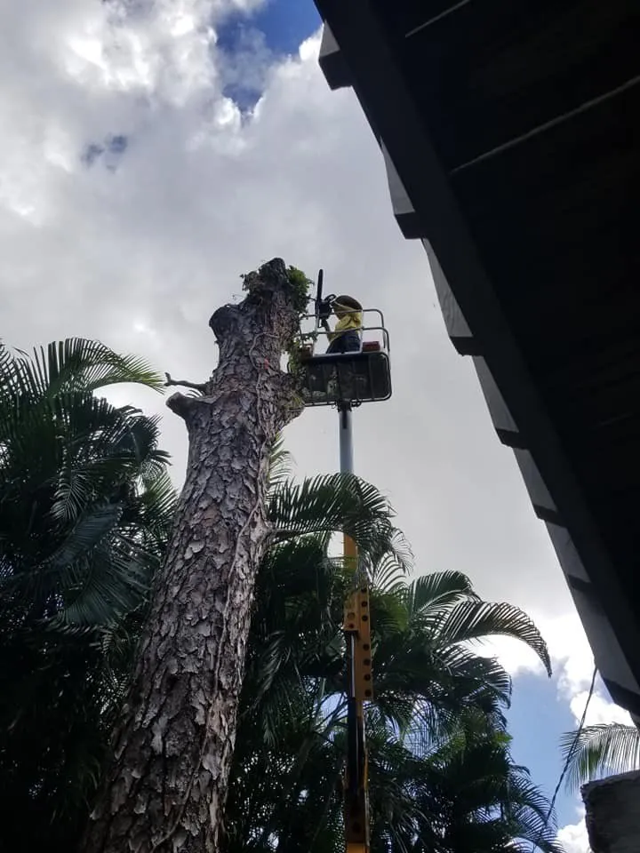 Trusted lawn care service for outdoor upgrades across Fort Myers, FL - My New Landscaping Company