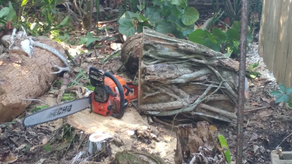 Top-rated lawn care service experts serving Fort Myers, FL - My New Landscaping Company