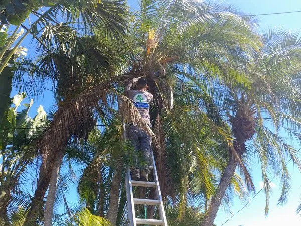 Custom landscaping services for year-round maintenance across Fort Myers, FL - My New Landscaping Company