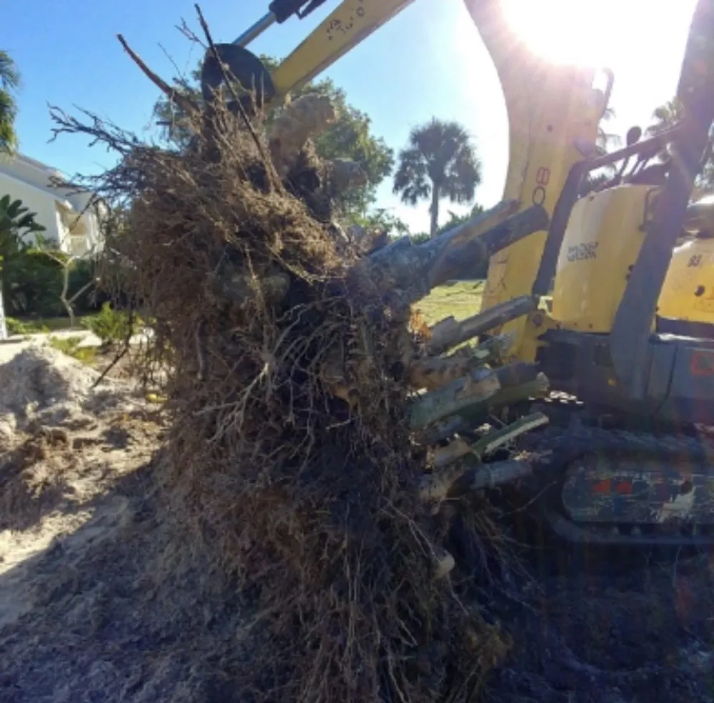 Top-rated lawn care service near you in Fort Myers, FL by My New Landscaping Company