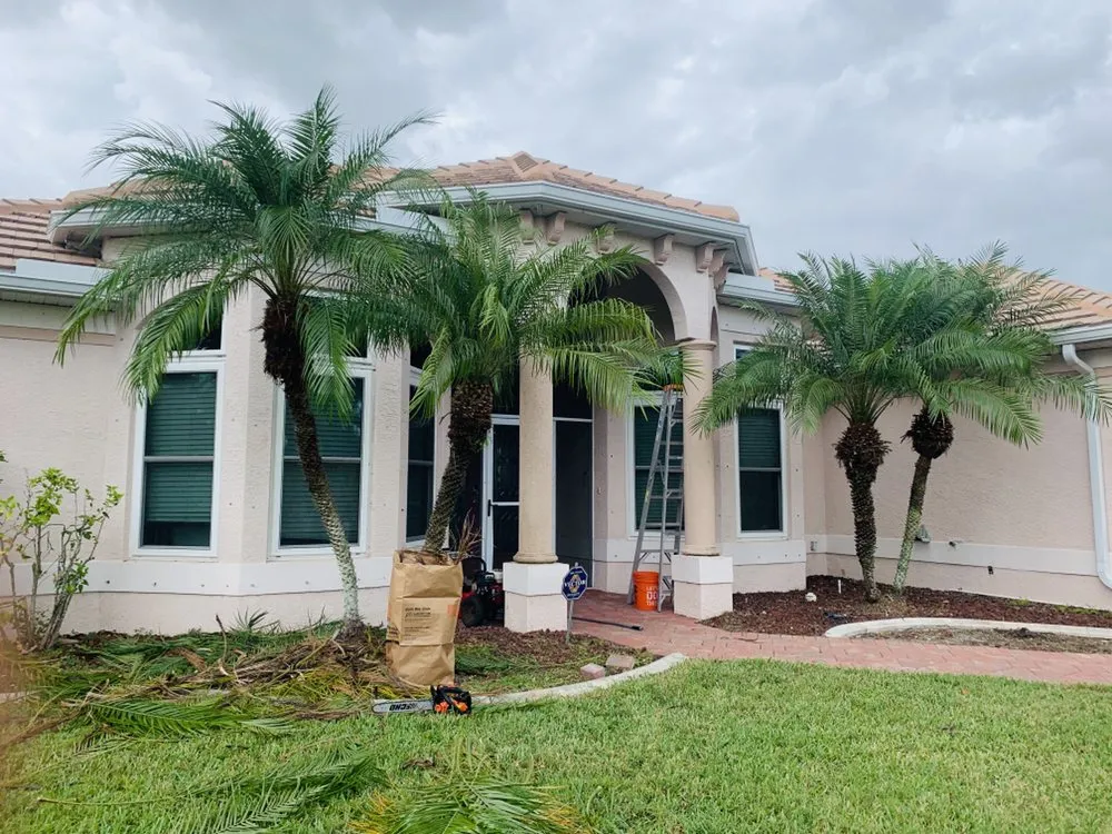 Top-rated yard cleanup service for residential properties in Fort Myers, FL by My New Landscaping Company