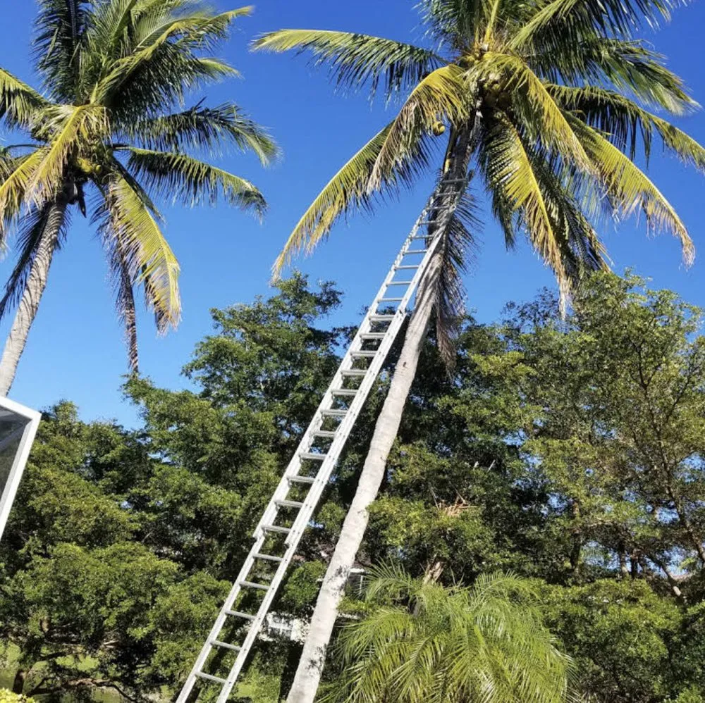 Reliable garden landscaping in Fort Myers, FL by My New Landscaping Company