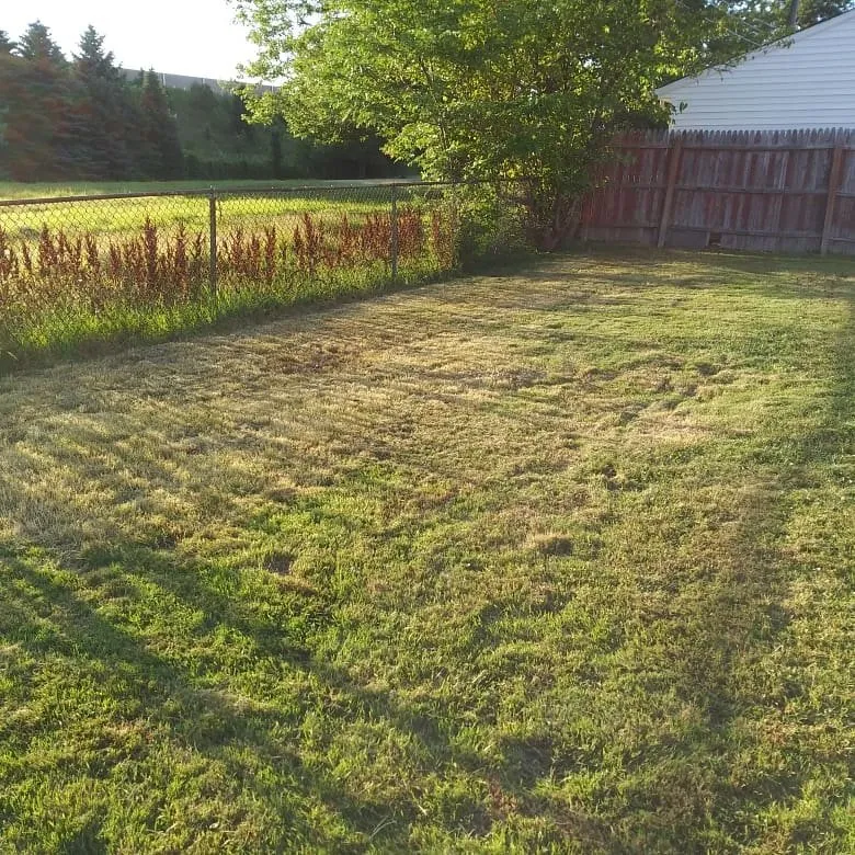 Professional landscaping services for outdoor upgrades across Warrensville Heights, OH - My Ohio Landscaping & Design