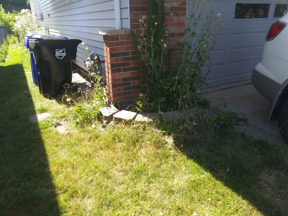 Expert yard cleanup service for year-round maintenance in Warrensville Heights, OH by My Ohio Landscaping & Design