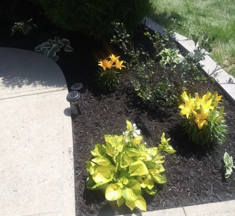 Affordable yard cleanup service in Warrensville Heights, OH by My Ohio Landscaping & Design