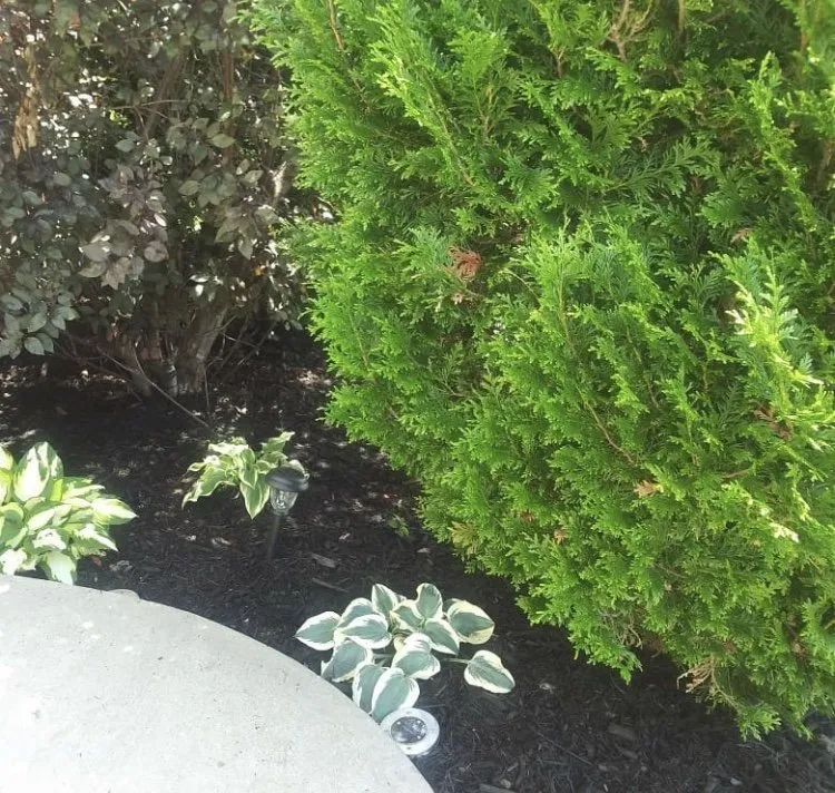 Professional garden landscaping for residential properties in Warrensville Heights, OH by My Ohio Landscaping & Design