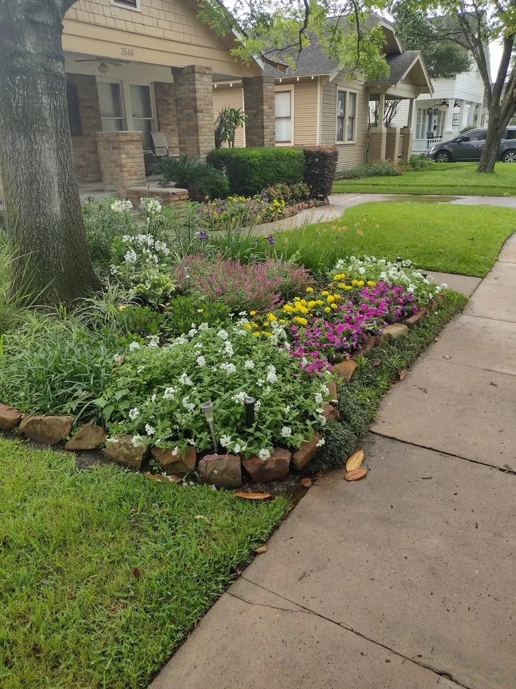 Trusted yard cleanup service for beautiful yards across Richmond, TX - My Paradise Landscapes