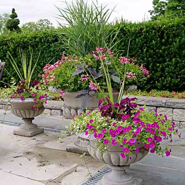 Expert lawn care service experts serving Carmel, IN - My Personal Gardener Inc