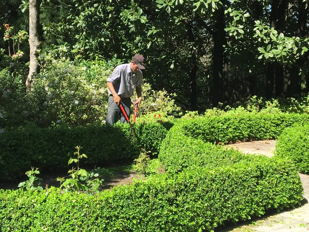 Custom garden landscaping in sandy springs, GA - My Personal Gardener