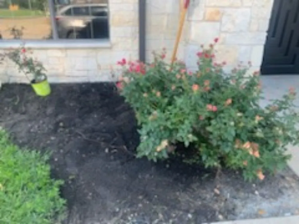 Expert lawn care service in Katy, TX by My Personal Touch Cleaning Services