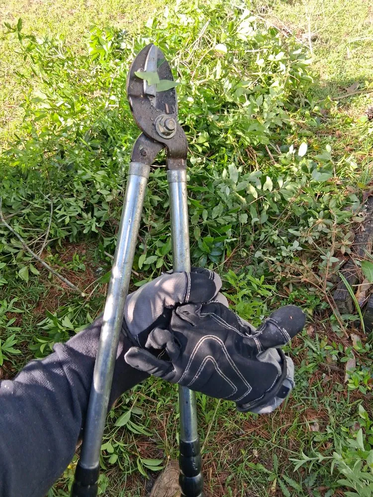 Custom yard maintenance in Red Springs, NC by My Plant Life