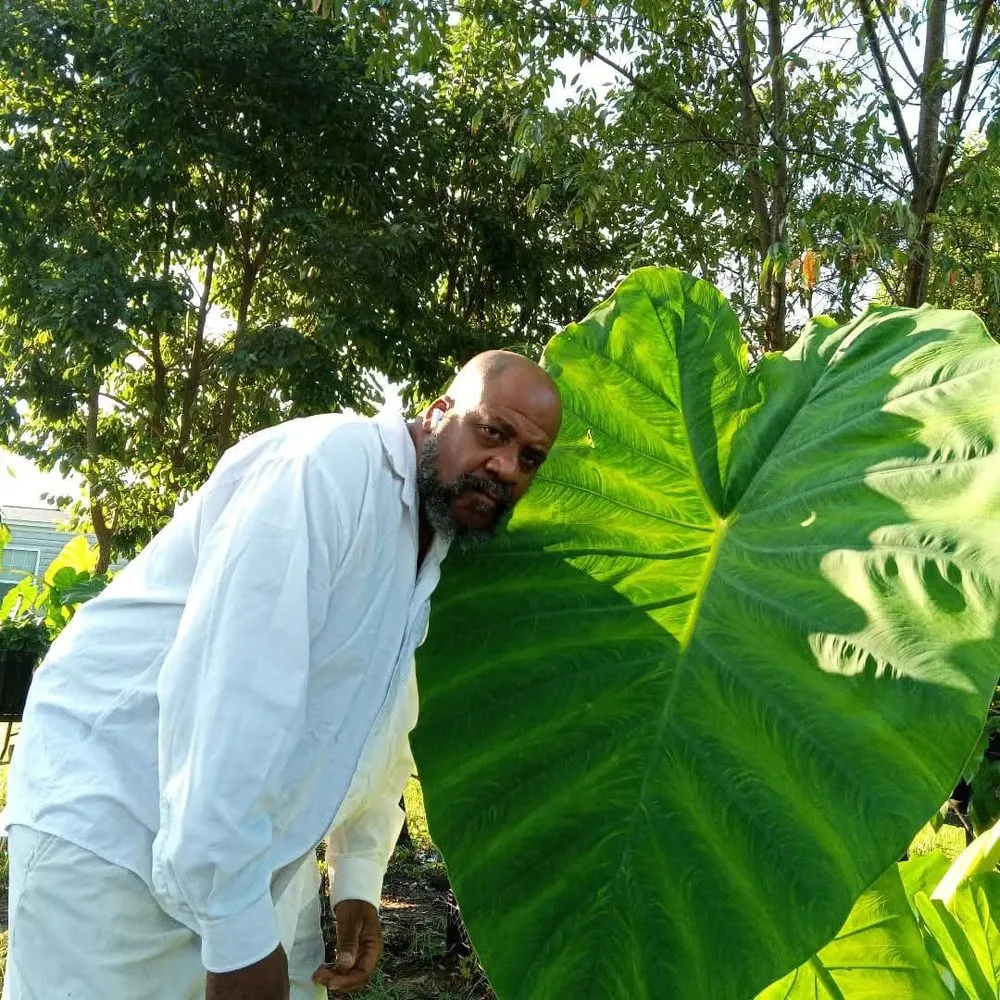 Trusted garden landscaping in Red Springs, NC - My Plant Life