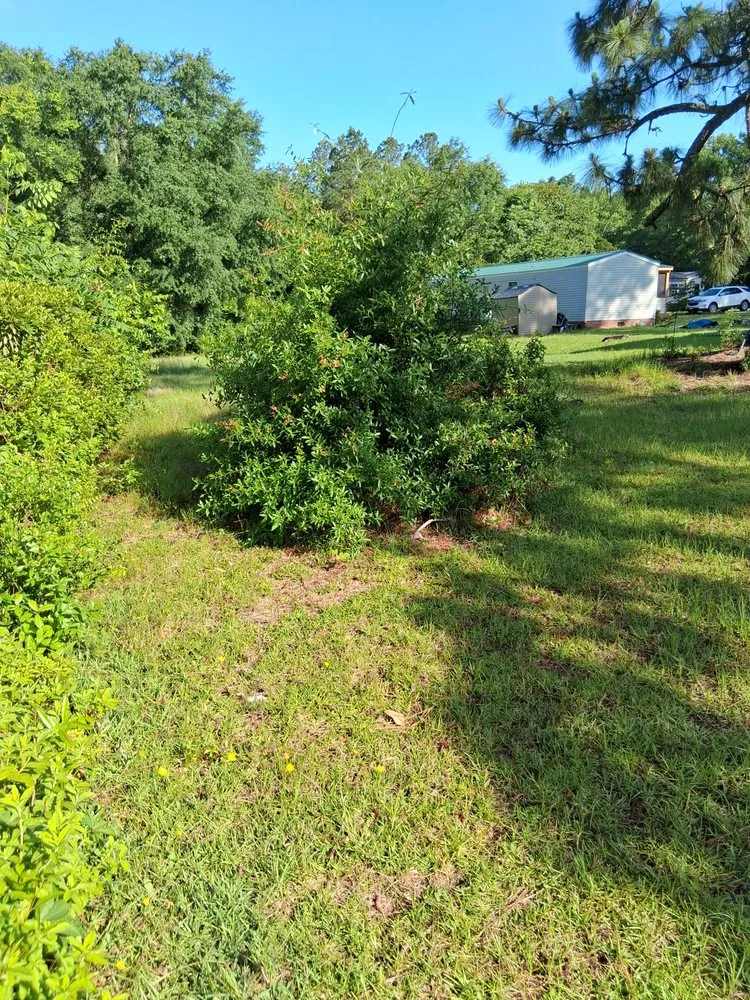 Custom residential landscaping in Red Springs, NC by My Plant Life