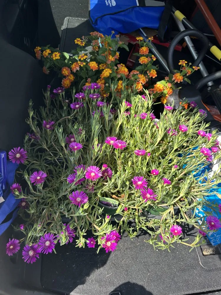 Local lawn mowing service in Villa Rica, GA - My Pleasure Lawn Care