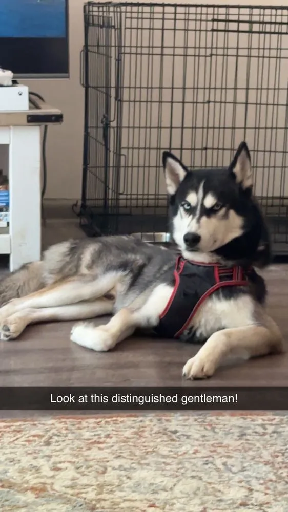 Expert landscape design in Villa Rica, GA - My Pleasure Lawn Care