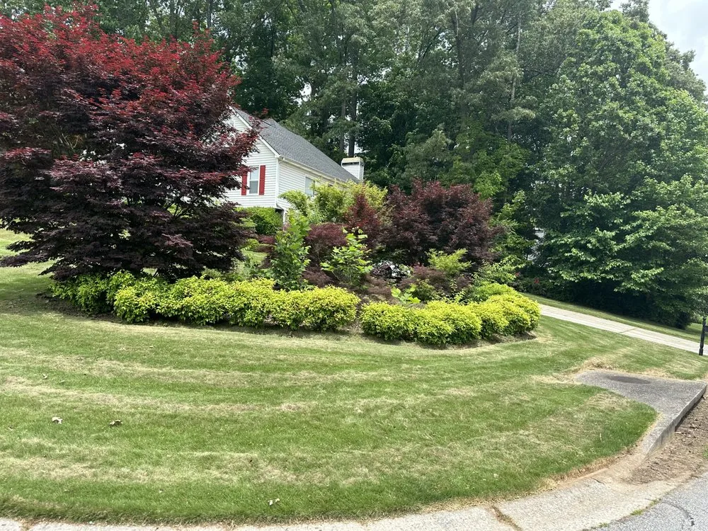 Trusted lawn mowing service experts serving Villa Rica, GA - My Pleasure Lawn Care