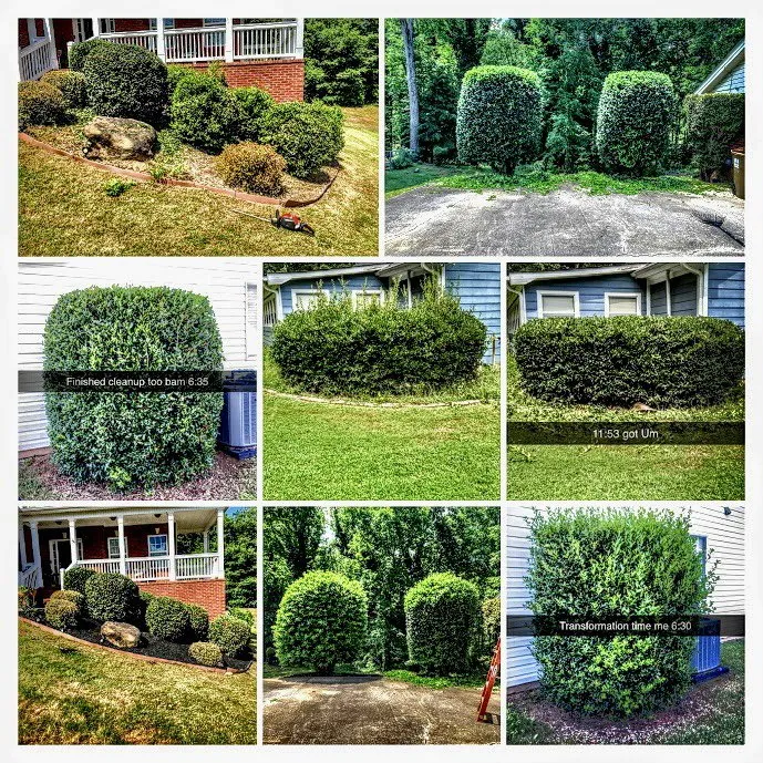 Professional lawn care service for beautiful yards across Flowery Branch, GA - My Roots Landscape Services