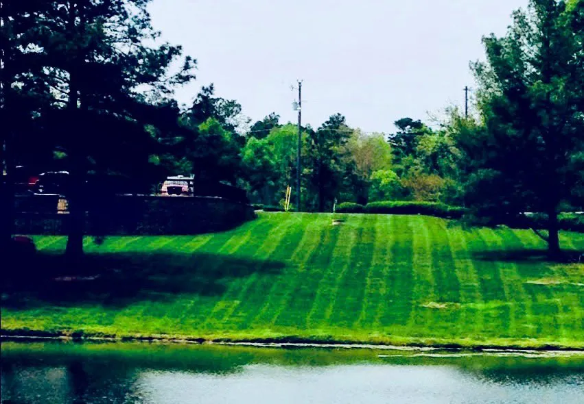 Affordable yard maintenance for outdoor upgrades in Flowery Branch, GA by My Roots Landscape Services