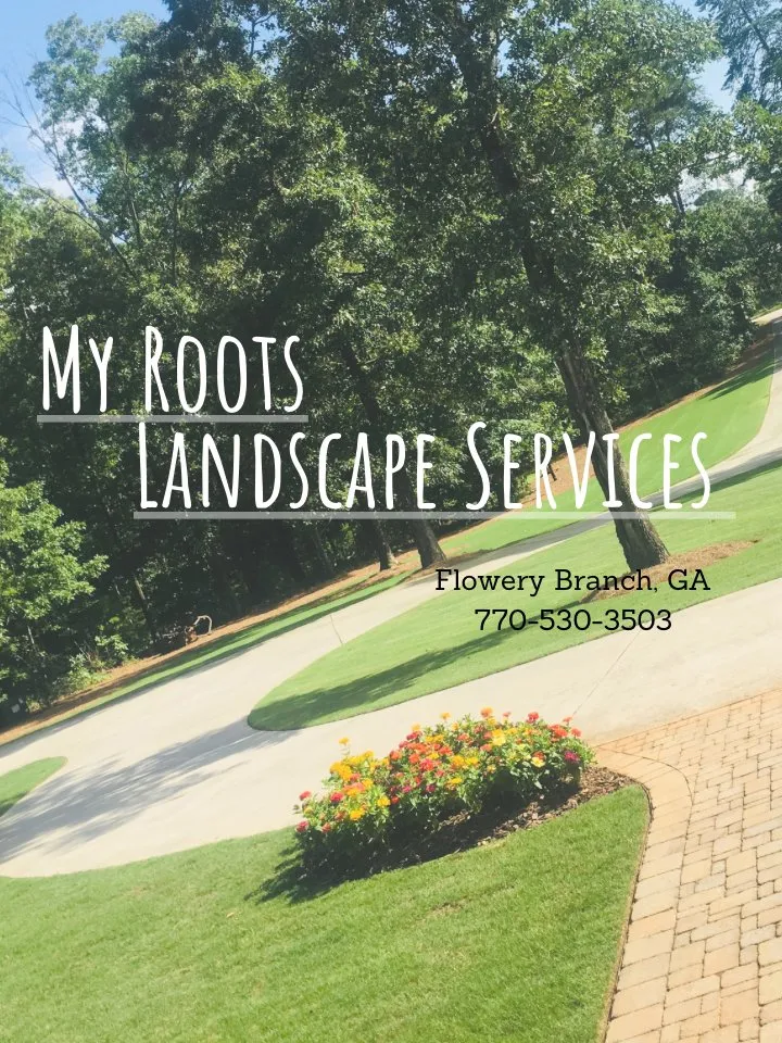 Affordable yard maintenance for beautiful yards across Flowery Branch, GA - My Roots Landscape Services