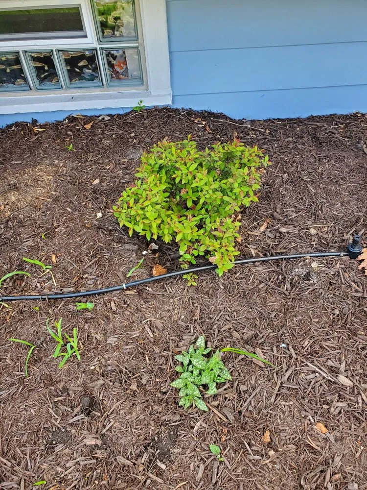 Trusted lawn mowing service for beautiful yards across Dundee, IL - My Secret Garden Landscaping