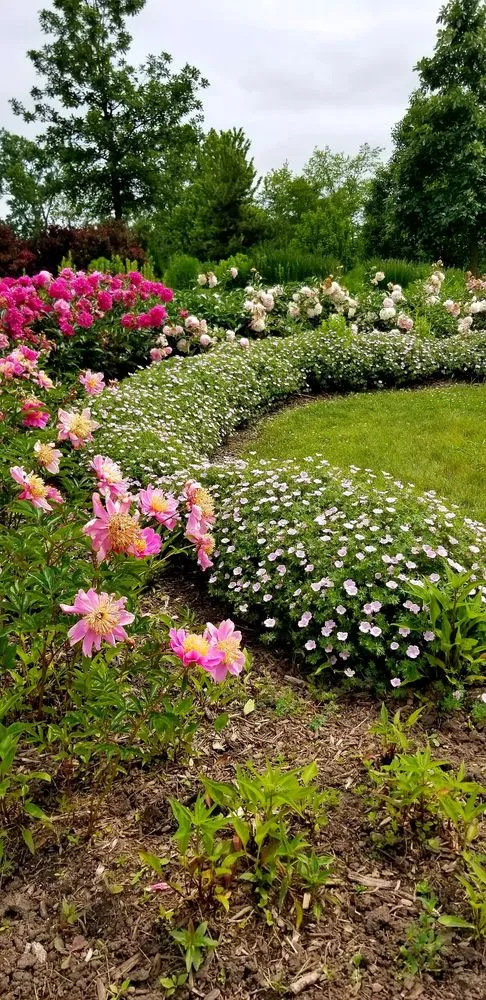 Affordable landscape design for homes in Dundee, IL by My Secret Garden Landscaping