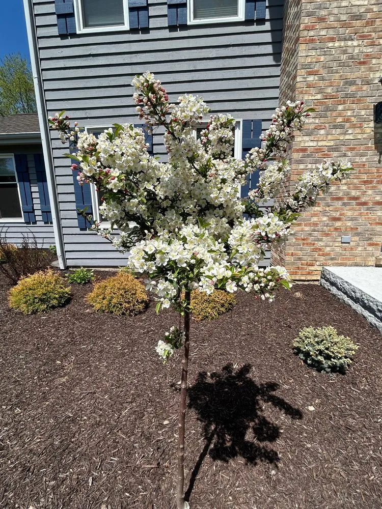 Reliable residential landscaping experts serving Dundee, IL - My Secret Garden Landscaping