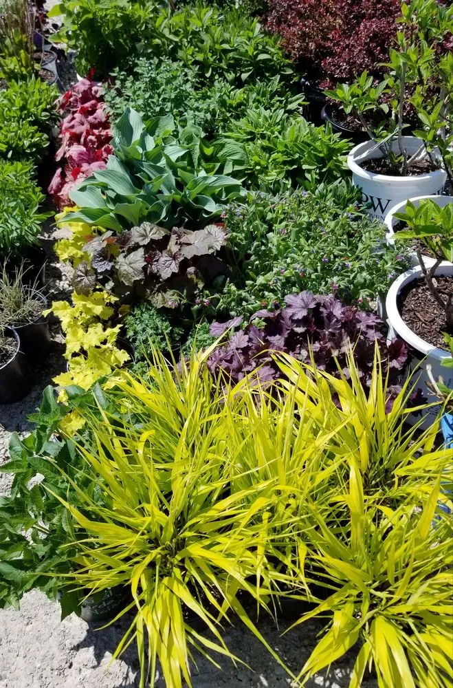 Affordable lawn mowing service in Dundee, IL by My Secret Garden Landscaping