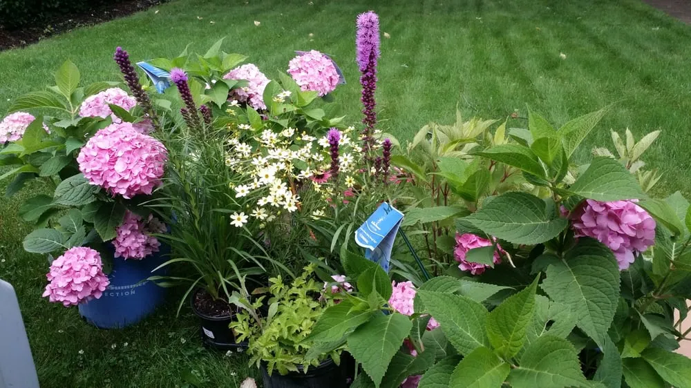 Custom yard maintenance in Dundee, IL by My Secret Garden Landscaping