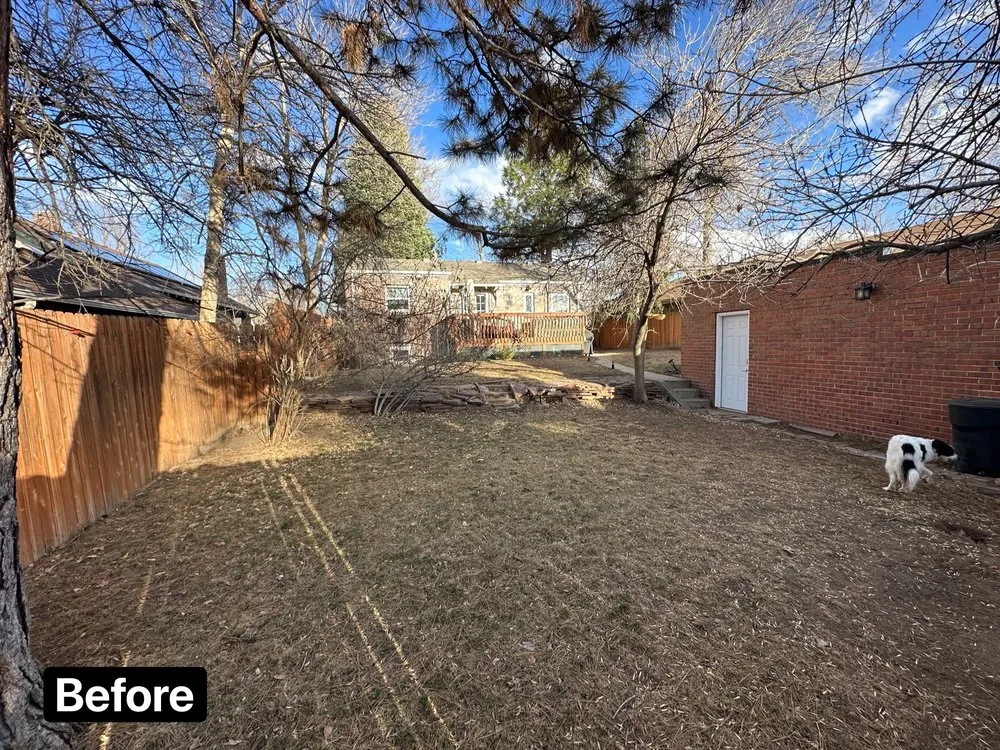 Top-rated yard maintenance in Lakewood, CO by My Sons Fences and Landscape