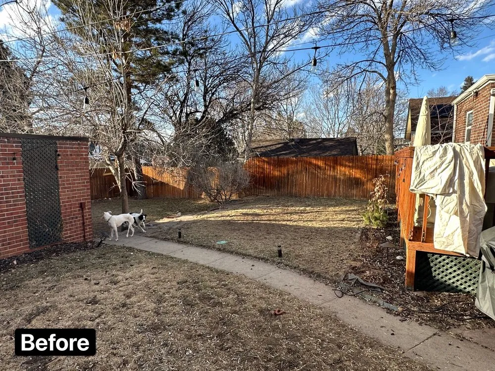 Reliable lawn mowing service for beautiful yards across Lakewood, CO - My Sons Fences and Landscape