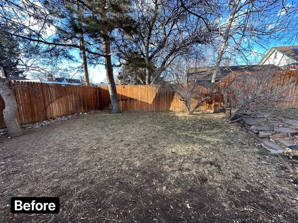 Expert yard cleanup service experts serving Lakewood, CO - My Sons Fences and Landscape