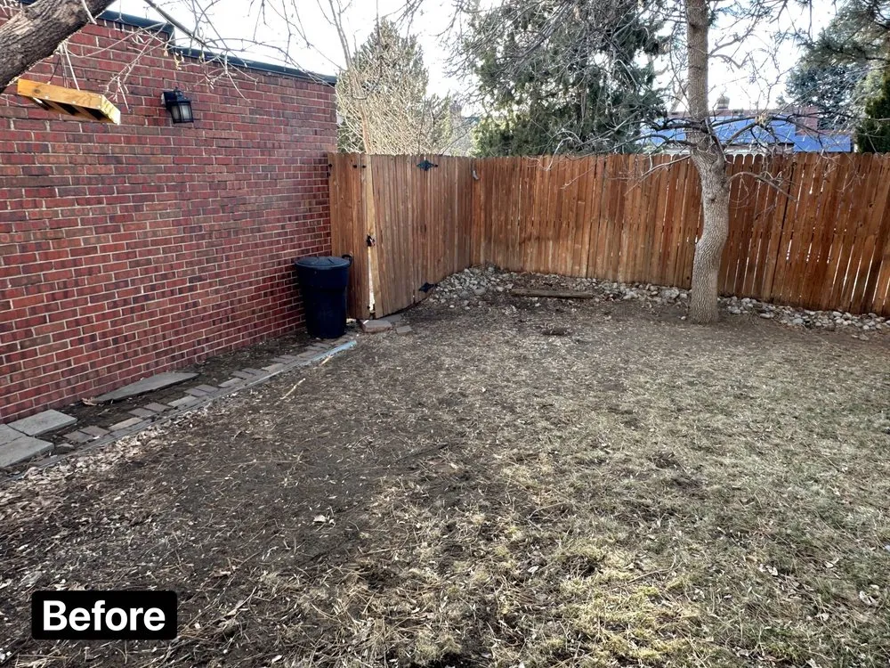 Expert lawn mowing service in Lakewood, CO by My Sons Fences and Landscape