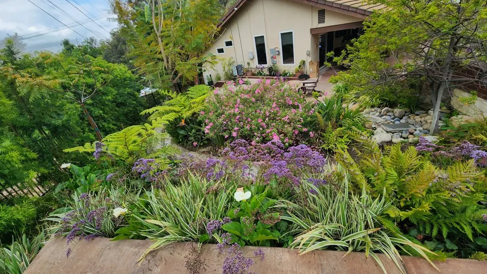 Reliable landscaping services for outdoor upgrades in Orange, CA by My Sprinkler Repair