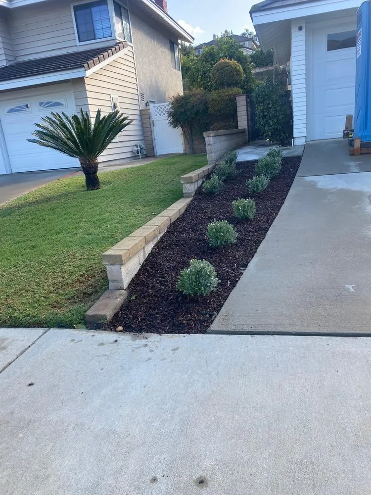 Local landscape installation in Orange, CA by My Sprinkler Repair
