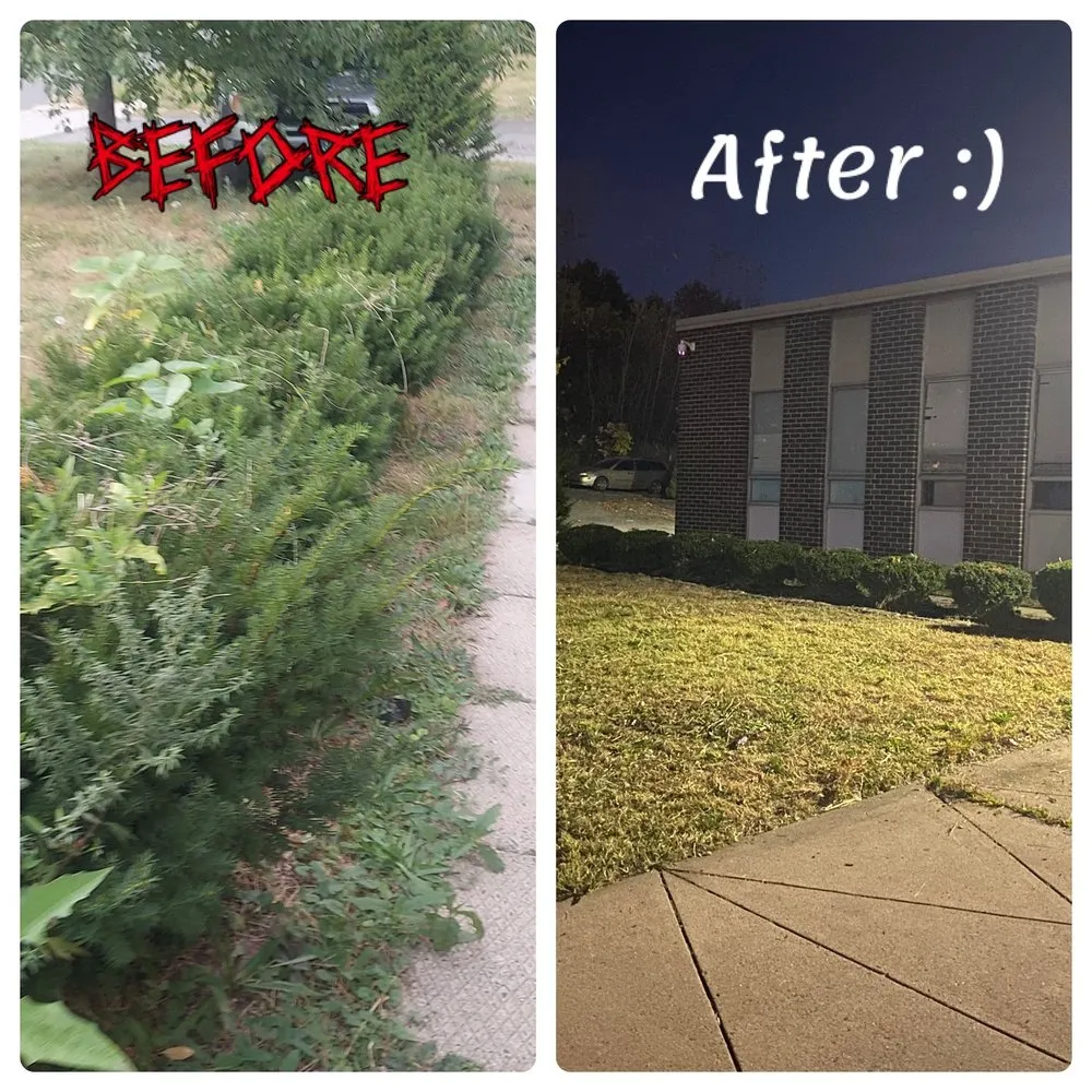 Reliable residential landscaping in Windham, CT by My Three Rose Facility Management