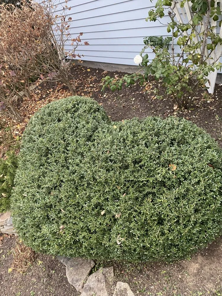 Custom landscaping services with custom design across Windham, CT - My Three Rose Facility Management