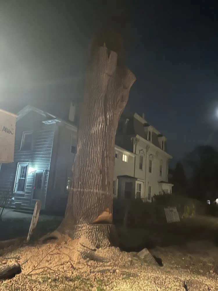 Local garden landscaping in Windham, CT by My Three Rose Facility Management