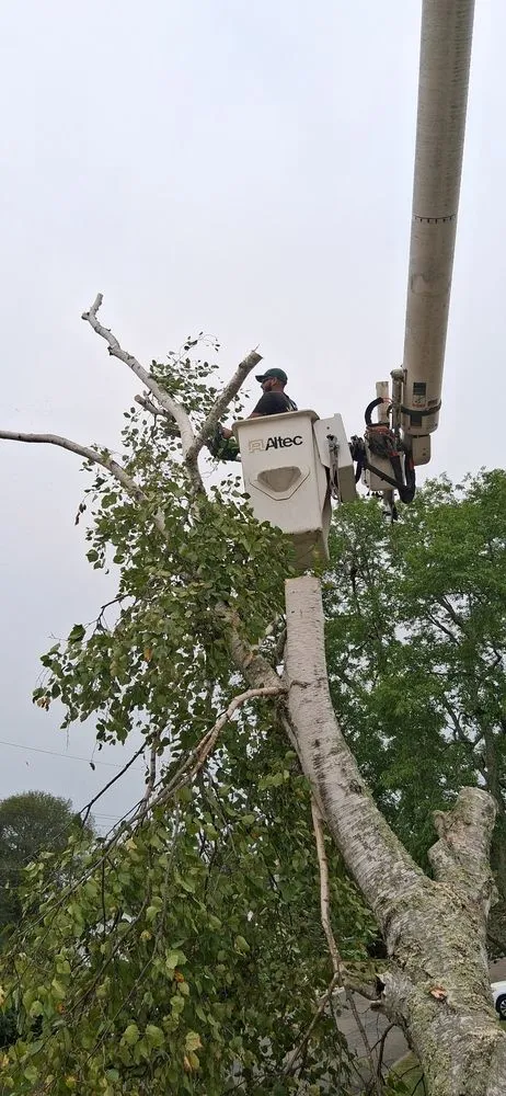 Professional yard maintenance in Windham, CT by My Three Rose Facility Management