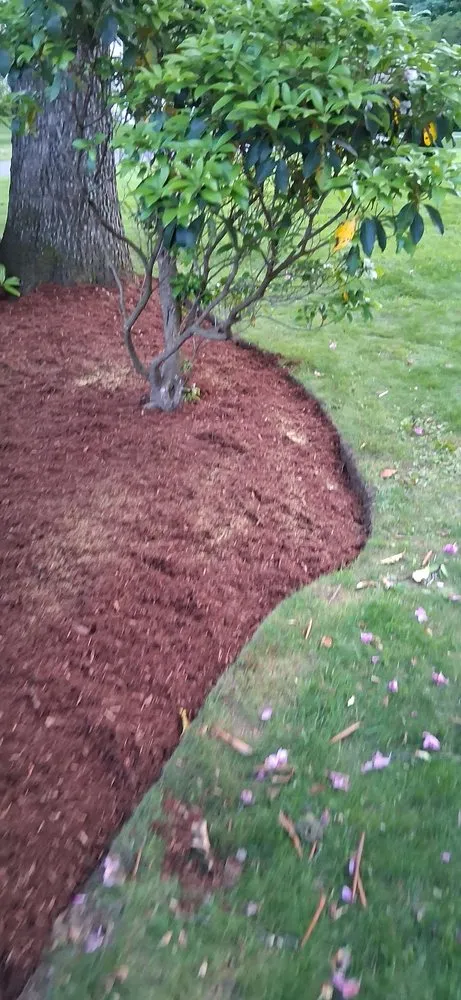 Top-rated garden landscaping in Windham, CT by My Three Rose Facility Management