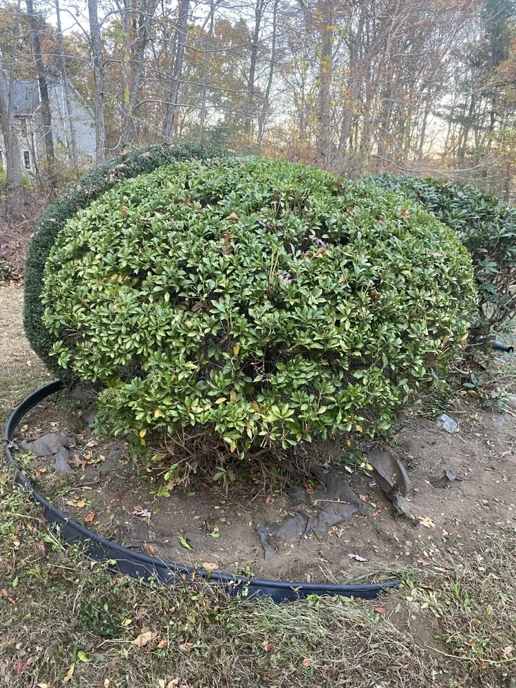 Reliable landscape installation for residential properties across Windham, CT - My Three Rose Facility Management