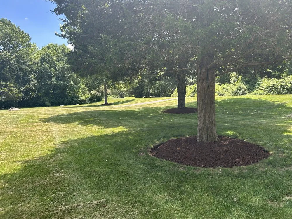Local outdoor landscaping in Windham, CT - My Three Rose Facility Management
