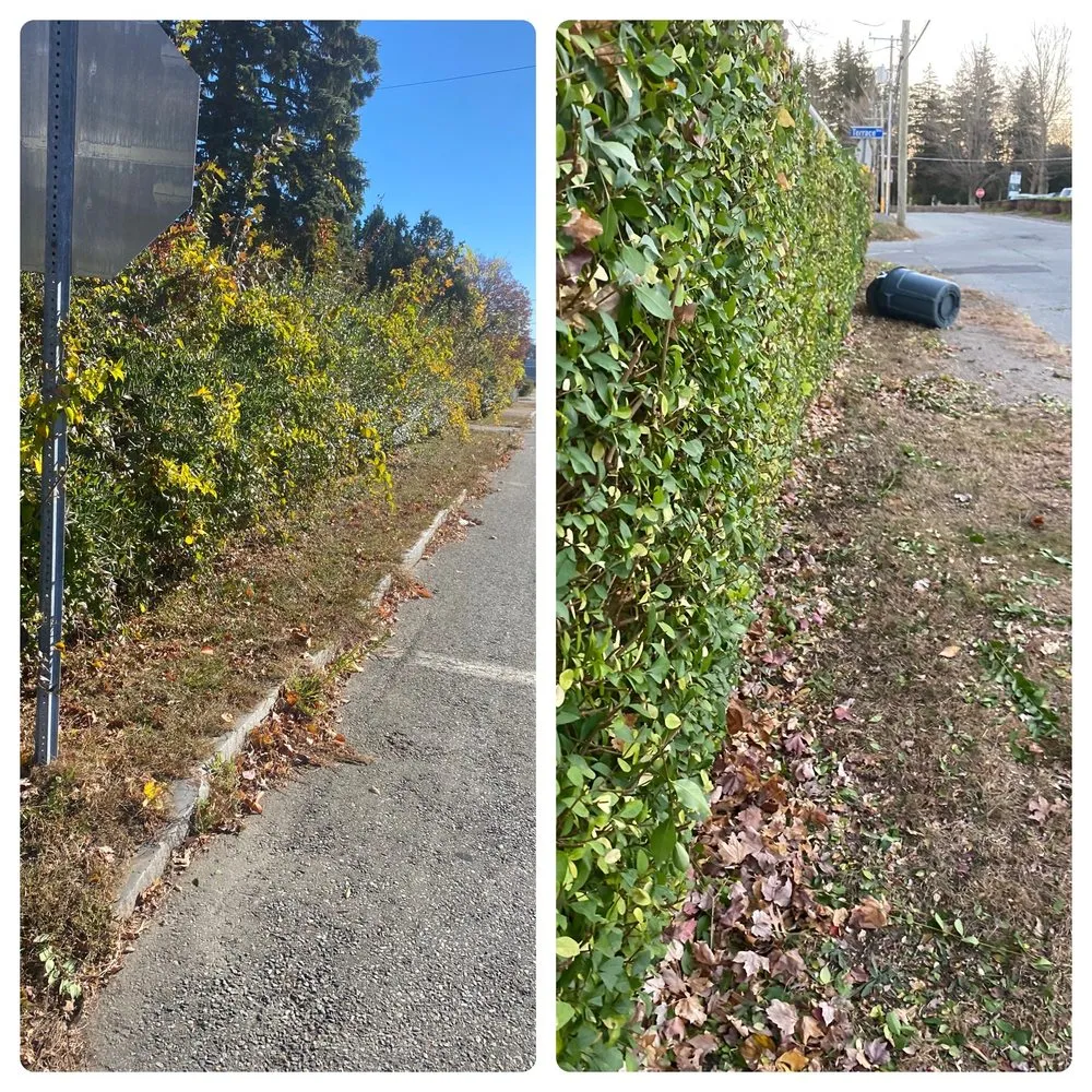 Reliable landscape installation experts serving Windham, CT - My Three Rose Facility Management