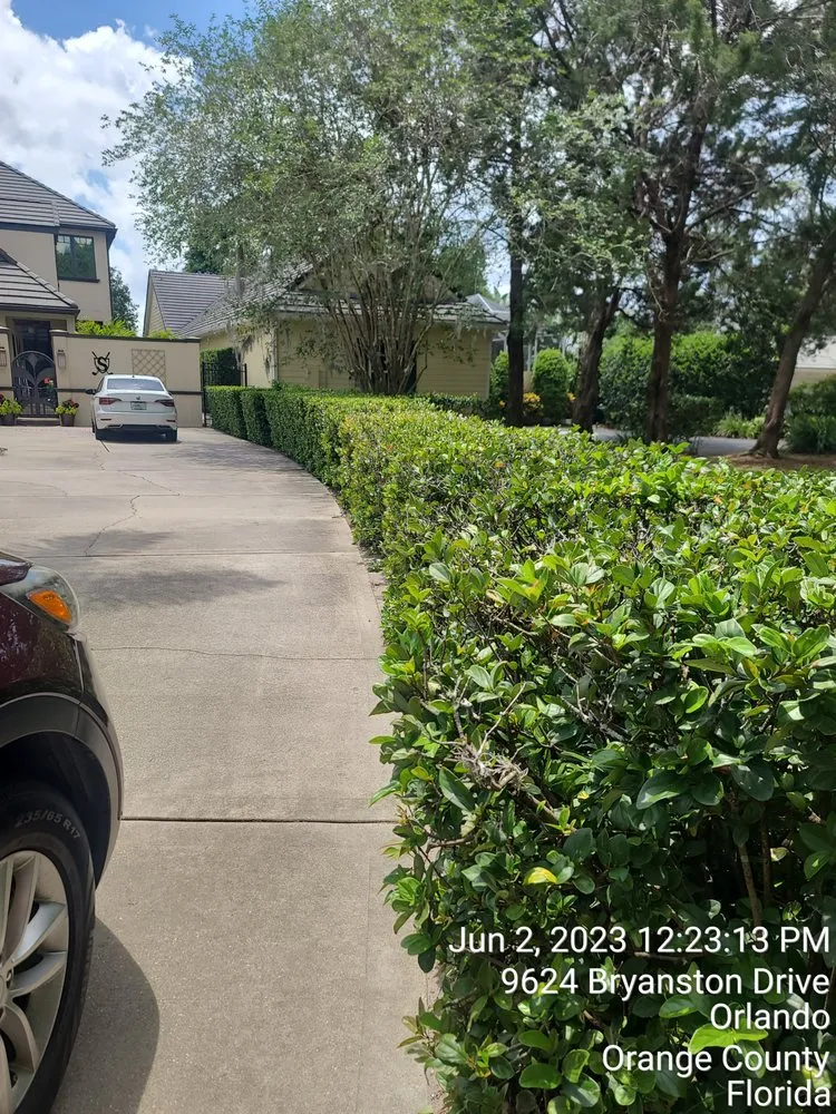 Expert lawn care service for residential properties in Orlando, FL by My Three Sons