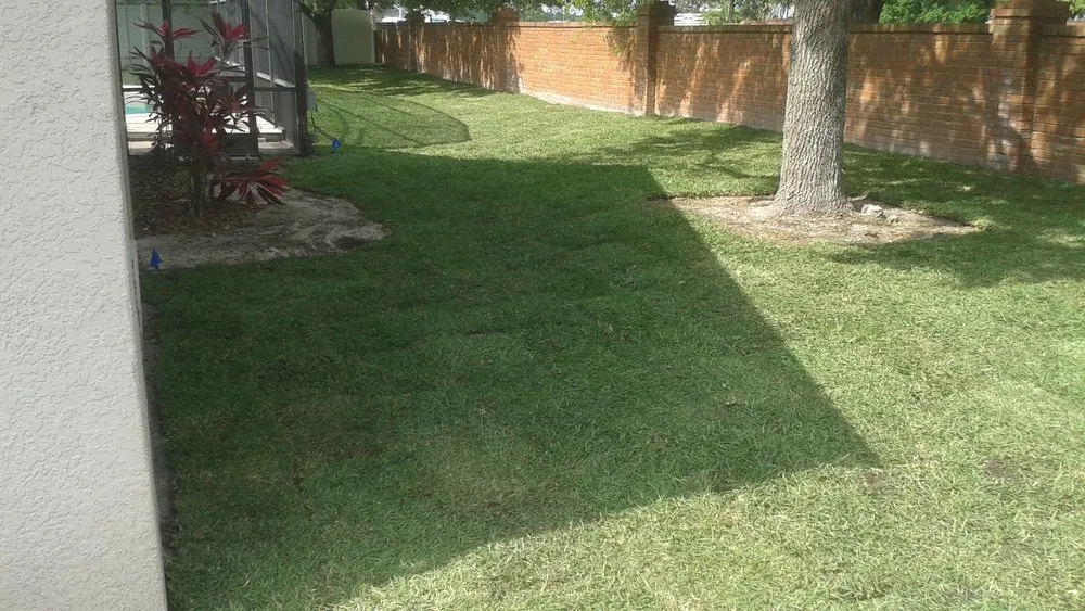 Affordable landscape installation experts serving Orlando, FL - My Three Sons