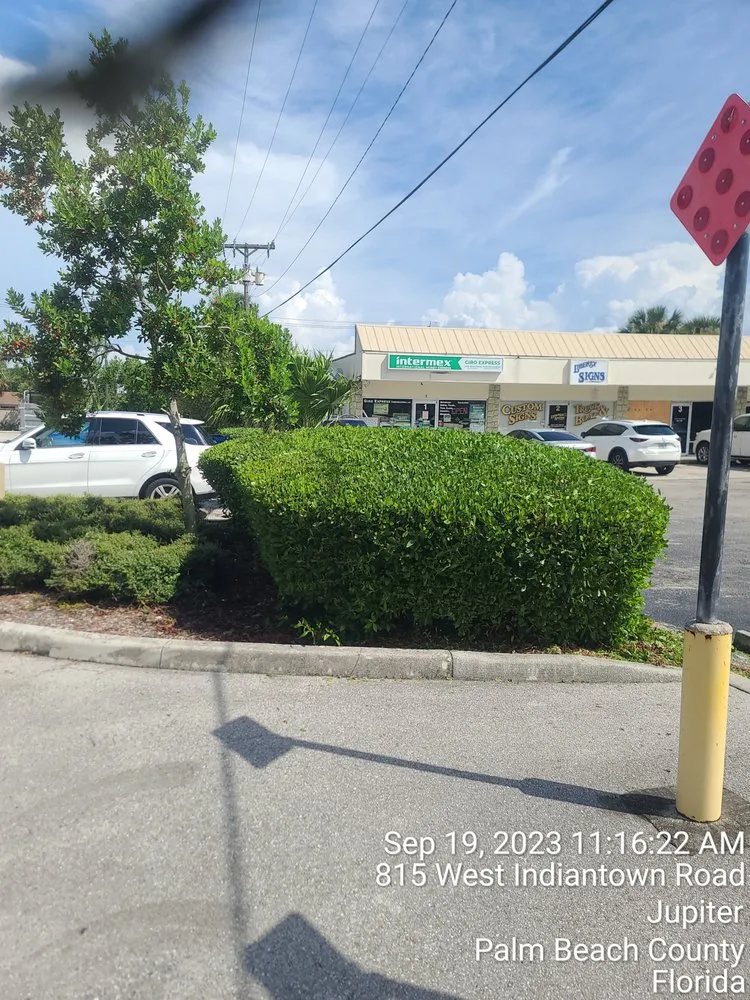 Top-rated yard cleanup service in Orlando, FL by My Three Sons