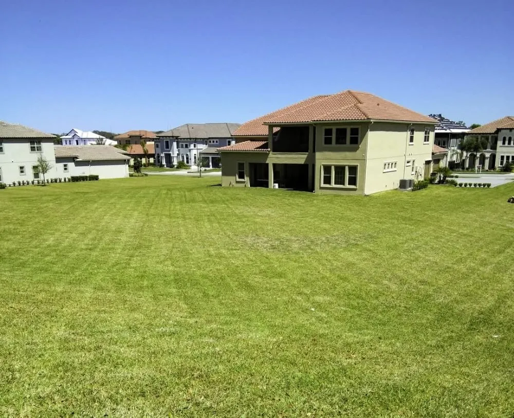 Professional yard cleanup service in Orlando, FL by My Three Sons