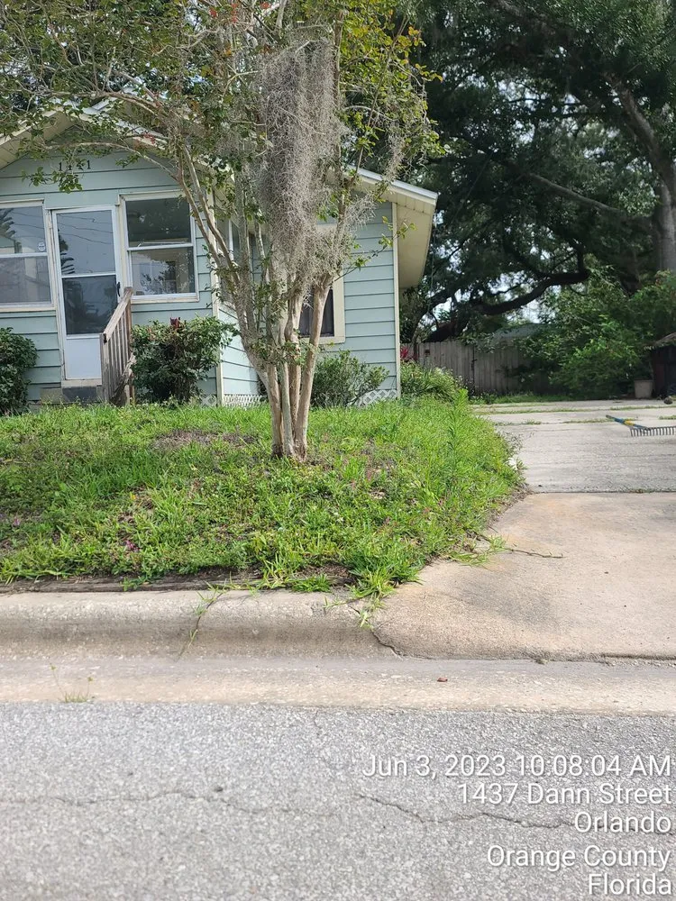 Custom yard cleanup service for beautiful yards in Orlando, FL by My Three Sons